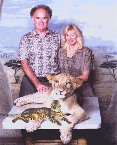 Bengal Kittens And Bengal Cats Of Summermist