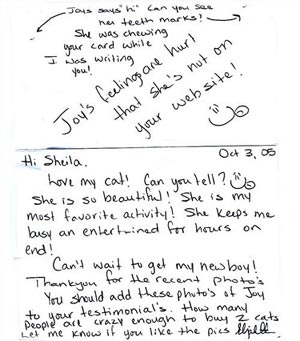 Bengal Cat Testimonial