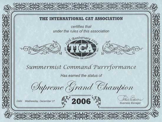 Bengal Cat Champion Award