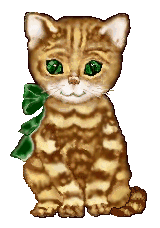 Bengal cats image2